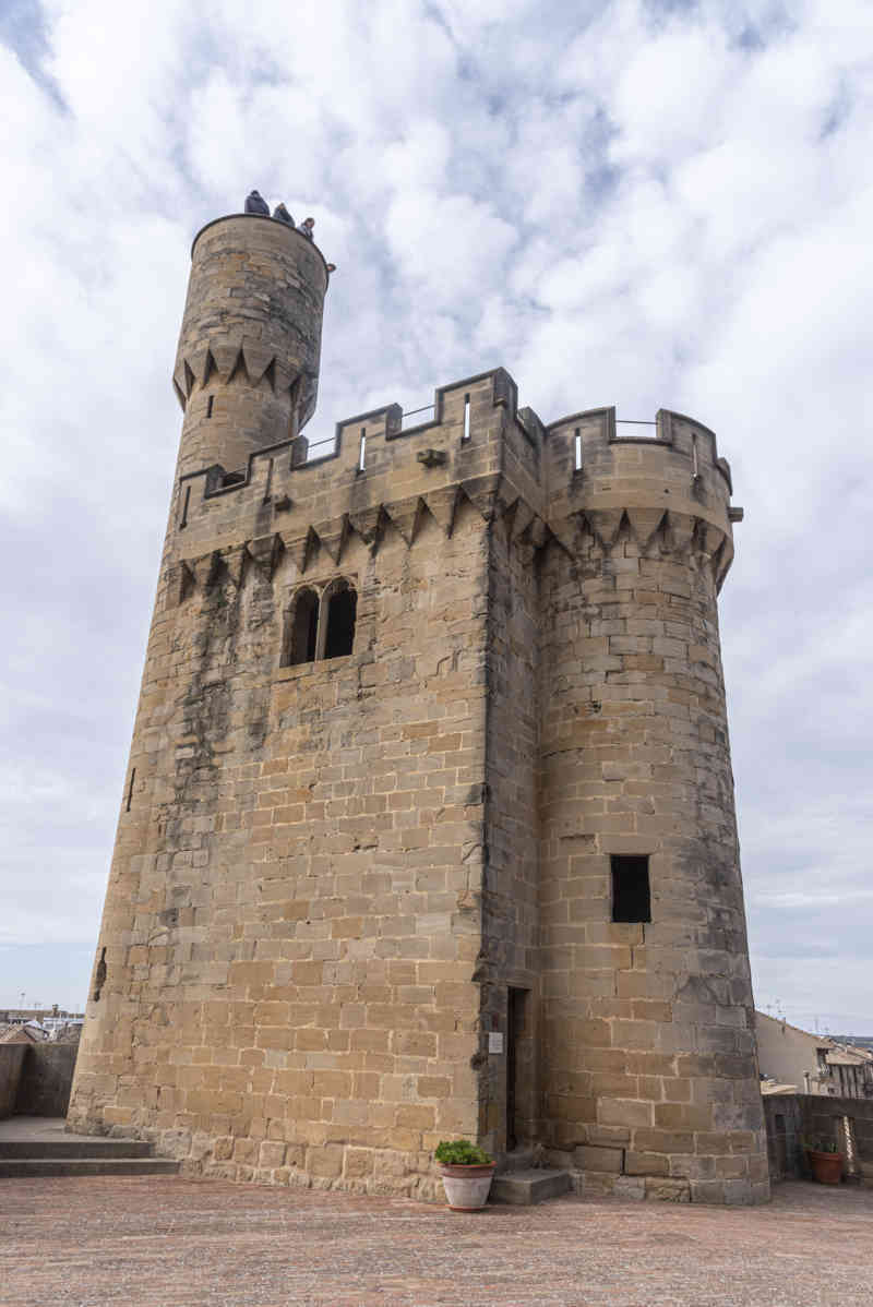 Comunidad Foral de Navarra 057 - Olite - palacio Real de Olite - Torre de la Atalaya.jpg